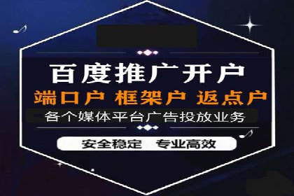 SEM广告案例：数据分析驱动营销决策